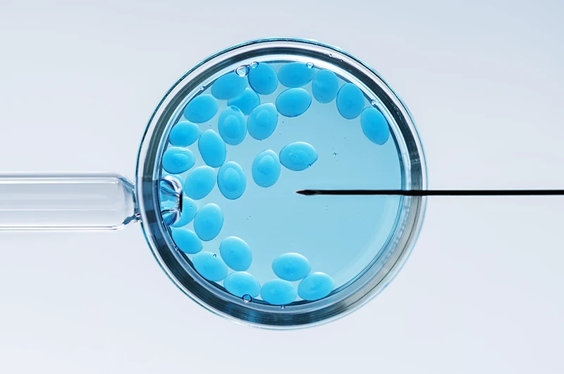 Fragmentação de DNA espermático